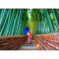 Azijos moteris bambukų miške 1000 vnt.