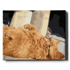 Cat with book 40*50 cm