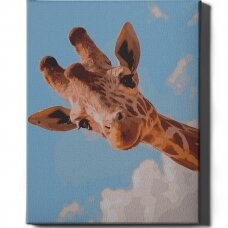 Curious giraffe 40*50 cm