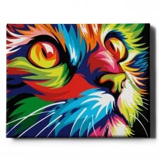 Colored cat 40*50 cm