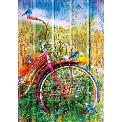 Birds on a Bicycle 1000 pcs. 1